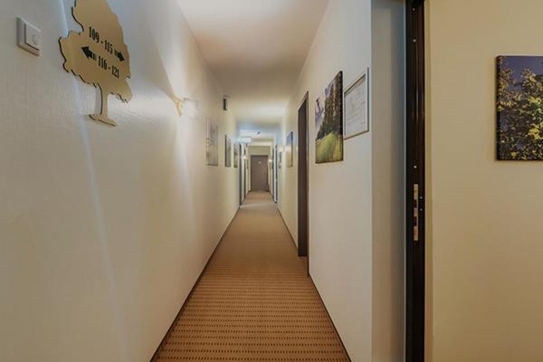 Eichengrund Cochstedt Otel Hecklingen  Dış mekan fotoğraf